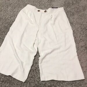 Elegant Culottes polyester machine wash turquoise buttons, pleats, side pockets